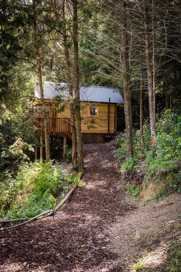 Maitai Whare Iti - Adventure Cabins & House نيلسون المظهر الخارجي الصورة