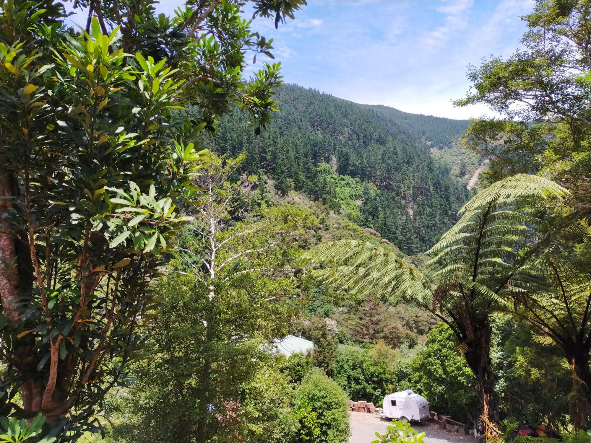 Maitai Whare Iti - Adventure Cabins & House نيلسون المظهر الخارجي الصورة